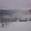 dsc_6306.JPG