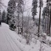 dsc_6334.JPG