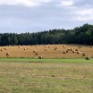 img_1721.jpg
