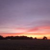 image016.jpg