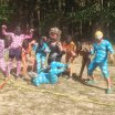img_20220816_170818.jpg