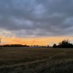 img_7319.jpg