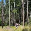 img_0921.jpg