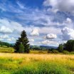 obrzekwhatsapp2024-08-17v21.31.50_d3a9dc7c.jpg