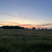 img_1328.jpg