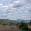 img_1365.jpg